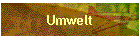 Umwelt