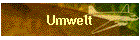 Umwelt